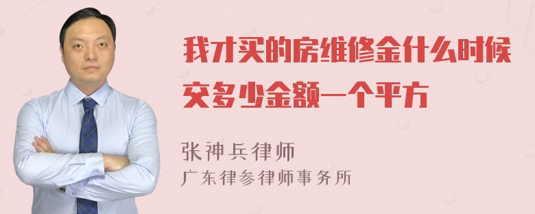 我才买的房维修金什么时候交多少金额一个平方