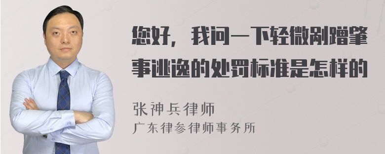 您好，我问一下轻微剐蹭肇事逃逸的处罚标准是怎样的