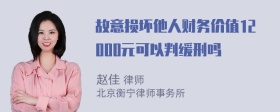 故意损坏他人财务价值12000元可以判缓刑吗