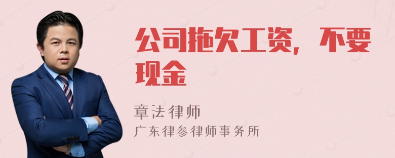 公司拖欠工资，不要现金