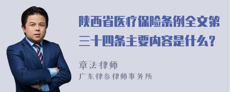 陕西省医疗保险条例全文第三十四条主要内容是什么？