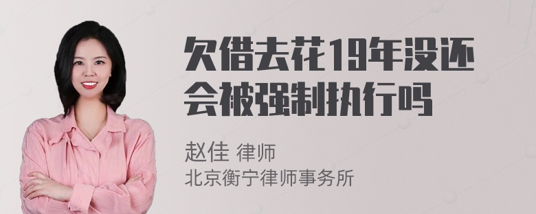 欠借去花19年没还会被强制执行吗