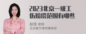 2023北京一级工伤赔偿范围有哪些