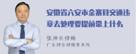 安徽省六安市金寨县交通违章去处理要提前带上什么