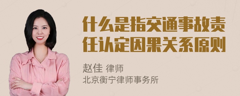 什么是指交通事故责任认定因果关系原则