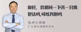 你好，我想问一下养一只鹰犯法吗,可以判刑吗