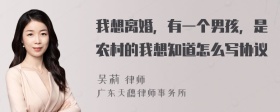 我想离婚，有一个男孩，是农村的我想知道怎么写协议