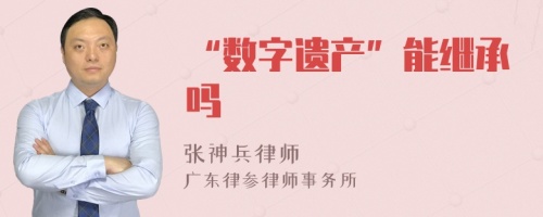 “数字遗产”能继承吗