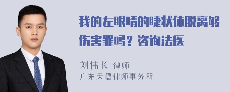 我的左眼睛的睫状体脱离够伤害罪吗？咨询法医