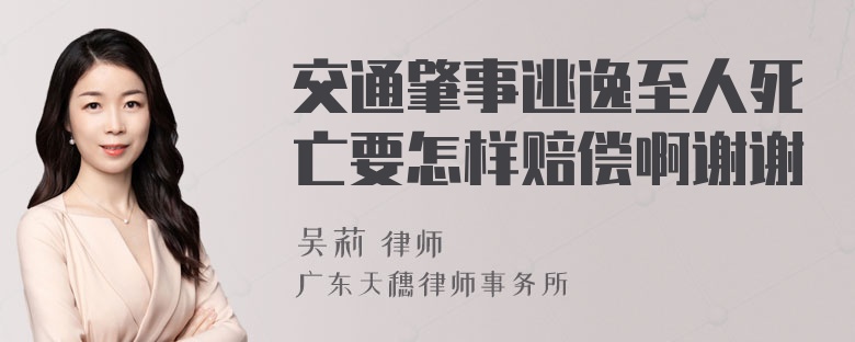 交通肇事逃逸至人死亡要怎样赔偿啊谢谢