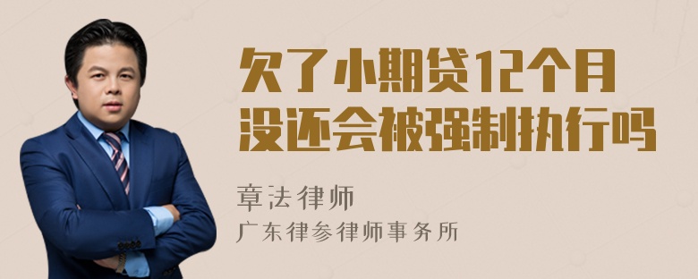 欠了小期贷12个月没还会被强制执行吗