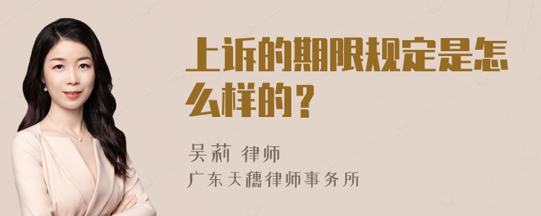 上诉的期限规定是怎么样的？