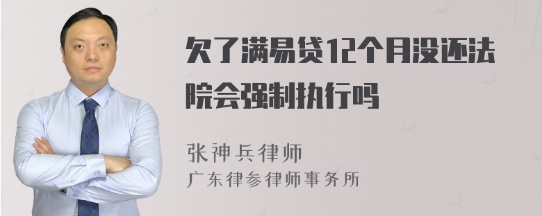 欠了满易贷12个月没还法院会强制执行吗