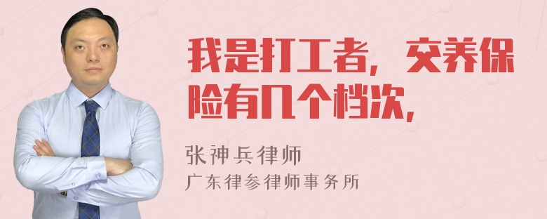 我是打工者，交养保险有几个档次，