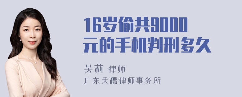 16岁偷共9000元的手机判刑多久