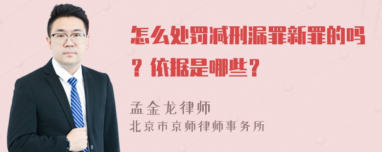怎么处罚减刑漏罪新罪的吗？依据是哪些？
