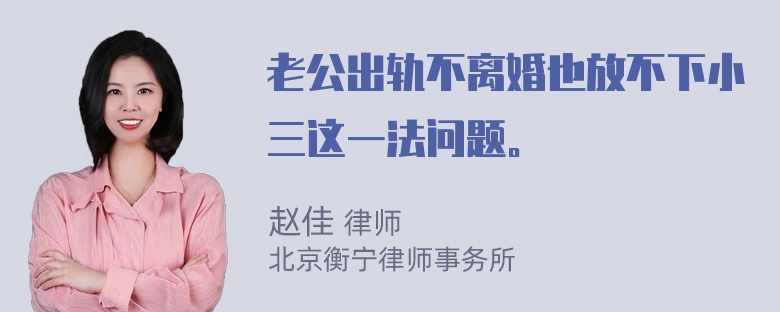 老公出轨不离婚也放不下小三这一法问题。