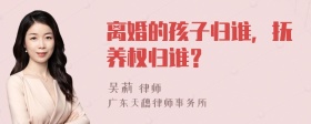 离婚的孩子归谁，抚养权归谁？