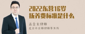 2022东营16岁抚养费标准是什么