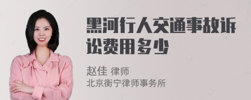 黑河行人交通事故诉讼费用多少