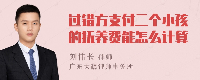 过错方支付二个小孩的抚养费能怎么计算