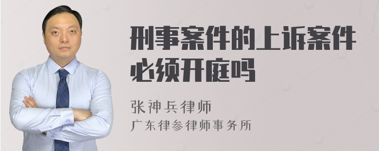 刑事案件的上诉案件必须开庭吗