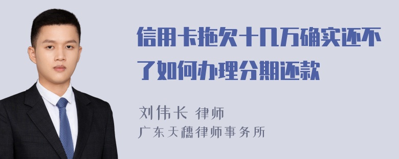 信用卡拖欠十几万确实还不了如何办理分期还款