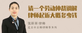 请一个劳动仲裁调解律师起诉大概多少钱