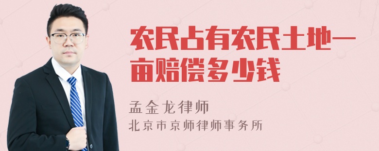 农民占有农民土地一亩赔偿多少钱