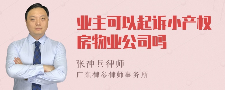 业主可以起诉小产权房物业公司吗