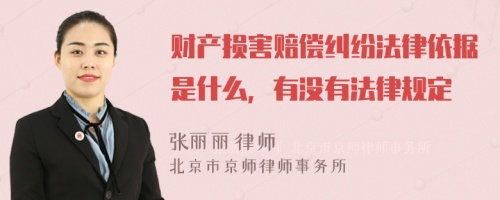 财产损害赔偿纠纷法律依据是什么，有没有法律规定