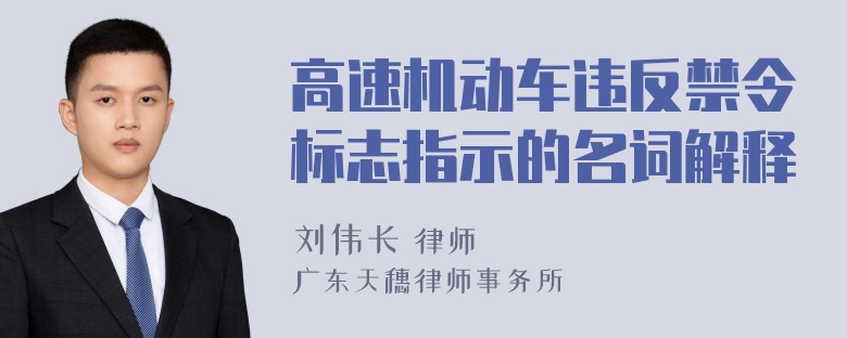 高速机动车违反禁令标志指示的名词解释