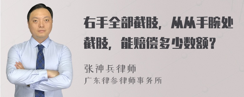 右手全部截肢，从从手腕处截肢，能赔偿多少数额？