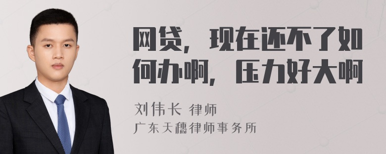 网贷，现在还不了如何办啊，压力好大啊