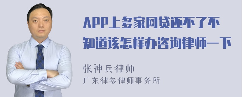 APP上多家网贷还不了不知道该怎样办咨询律师一下