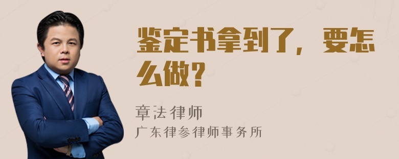 鉴定书拿到了，要怎么做？