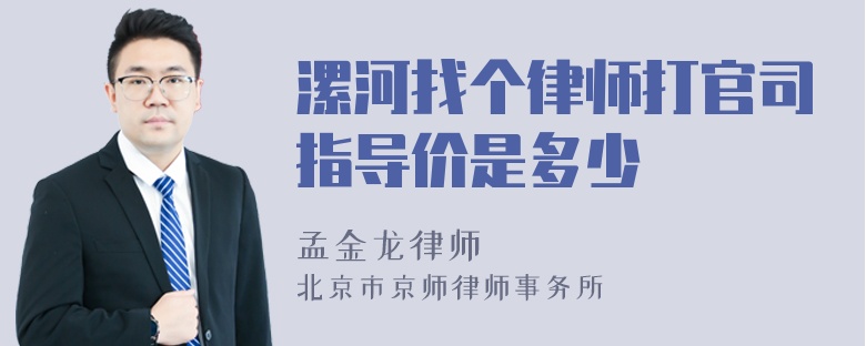 漯河找个律师打官司指导价是多少