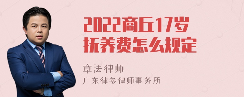 2022商丘17岁抚养费怎么规定