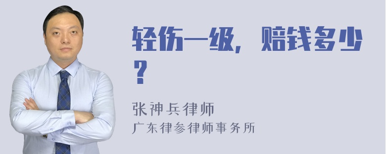 轻伤一级，赔钱多少？