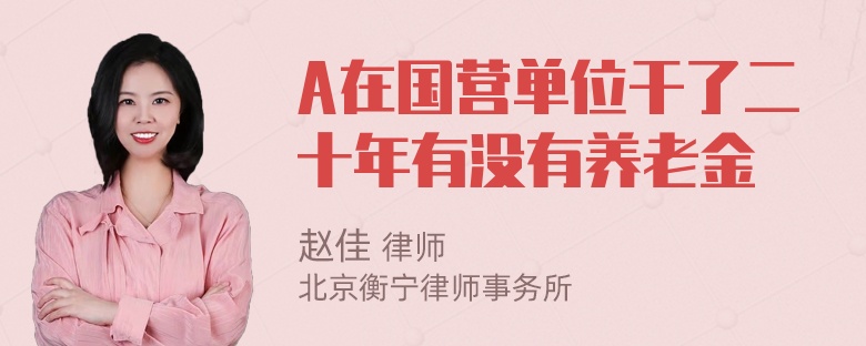 A在国营单位干了二十年有没有养老金