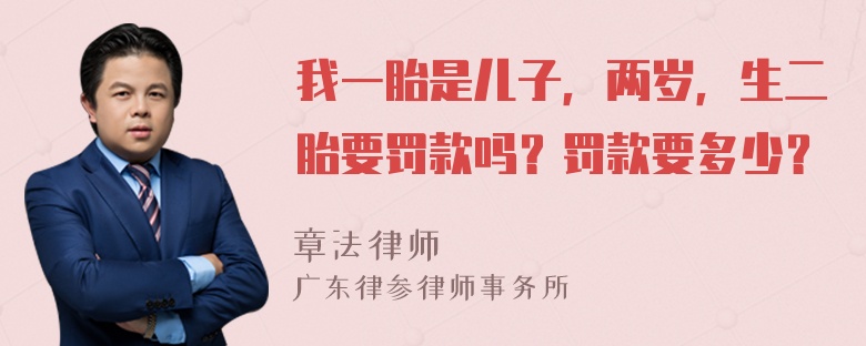 我一胎是儿子，两岁，生二胎要罚款吗？罚款要多少？