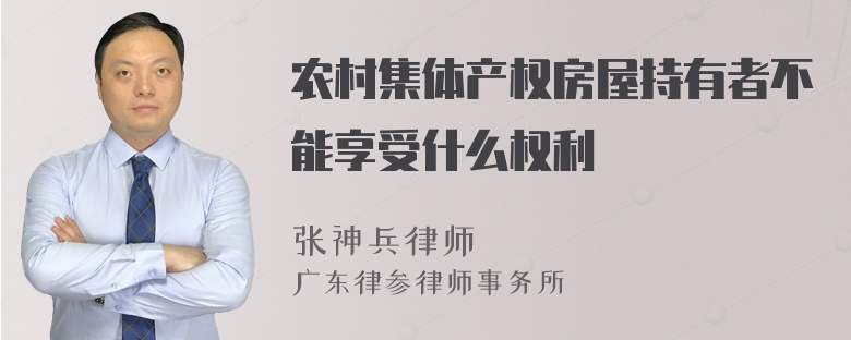 农村集体产权房屋持有者不能享受什么权利