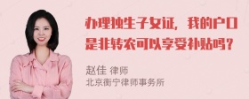 办理独生子女证，我的户口是非转农可以享受补贴吗？