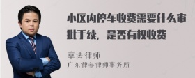 小区内停车收费需要什么审批手续，是否有权收费