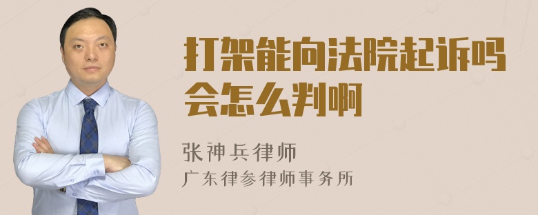 打架能向法院起诉吗会怎么判啊