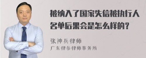 被纳入了国家失信被执行人名单后果会是怎么样的？