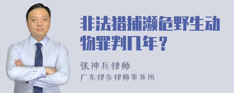 非法猎捕濒危野生动物罪判几年？