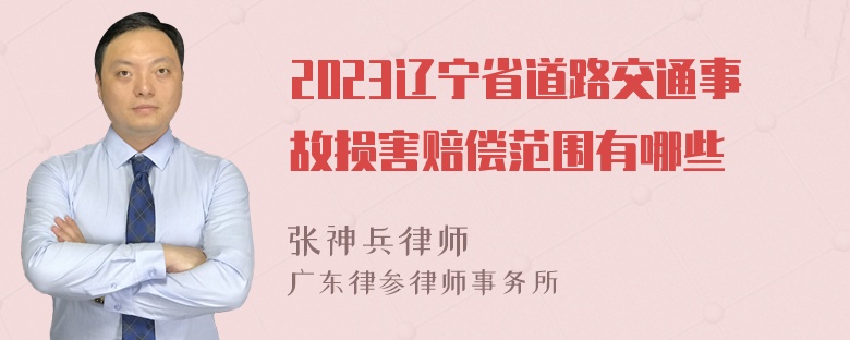 2023辽宁省道路交通事故损害赔偿范围有哪些