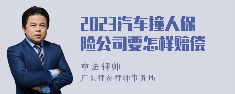 2023汽车撞人保险公司要怎样赔偿