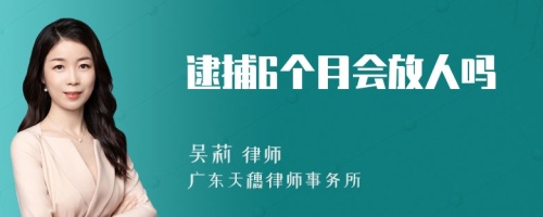 逮捕6个月会放人吗